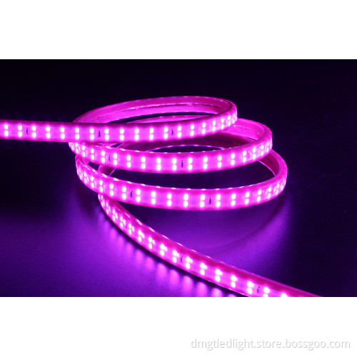 High voltage LED flexible strip light SMD 5050/60leds RGB